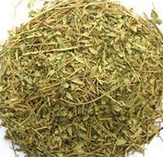 Manufacturers Exporters and Wholesale Suppliers of Henna Leaves Neemuch Madhya Pradesh